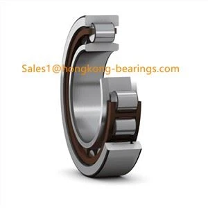 Gan gofio rholer silindrog N 1013 KTN/HC5SP 65*100*18 mm