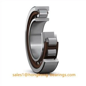 NU 315 ECP/VL0241 INSOCOAT Bearings Rholer Silindraidd